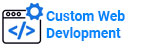Custom Web Development